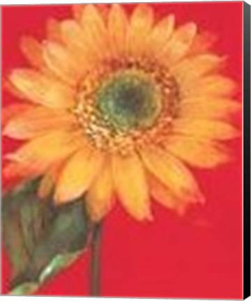 Framed Flower On Red Print