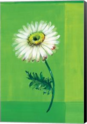 Framed Flower On Green Print
