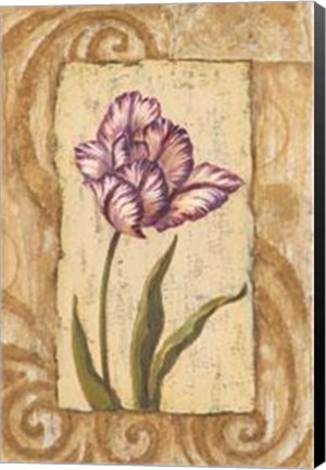 Framed Classic Tulip I Print