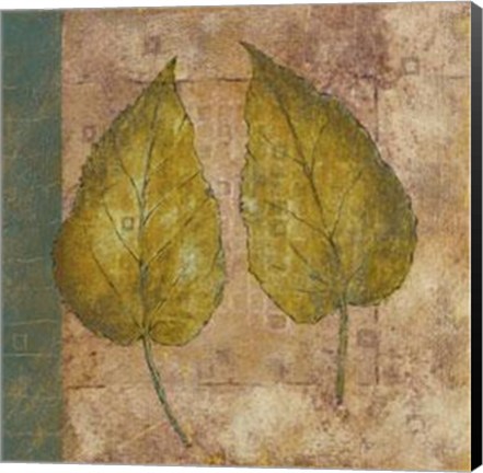Framed Nature Study 3 Print