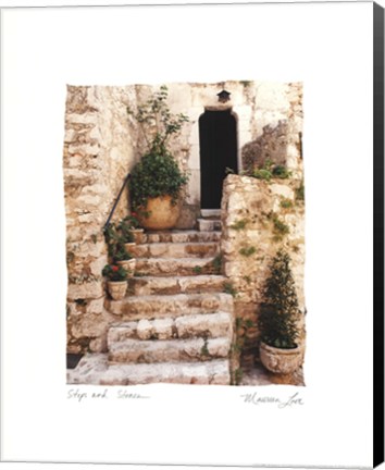 Framed Steps 'N Stones Print