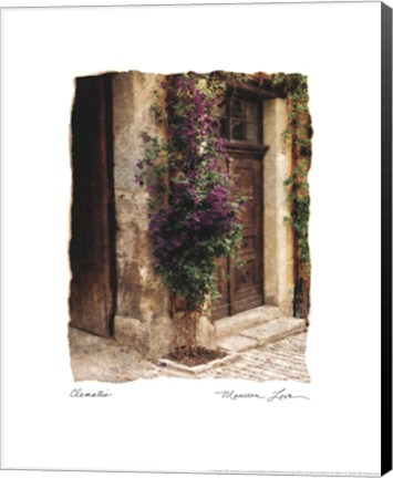 Framed Clematis Print