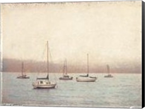 Framed Tomales Print