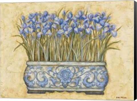Framed Blue Irises Print