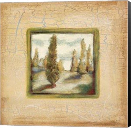Framed Summer Light I Print