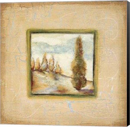 Framed Summer Light II Print