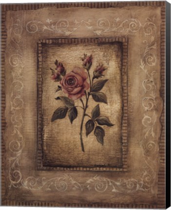 Framed Savin Rose Print