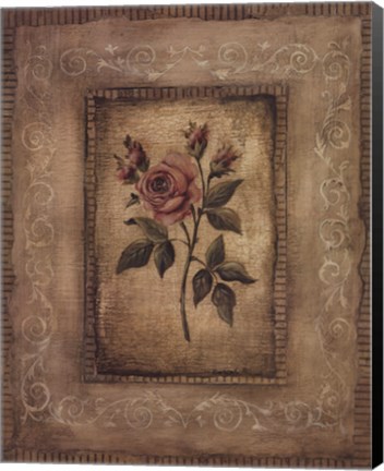 Framed Grand Savin Rose Print