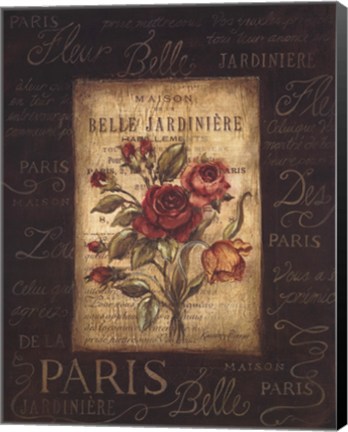 Framed Bel Bouquet III Print