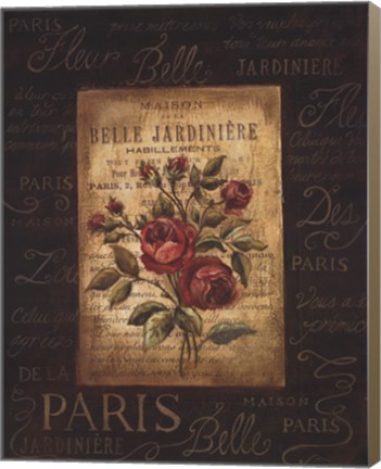 Framed Bel Bouquet IV Print