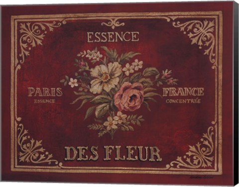 Framed Essence Print