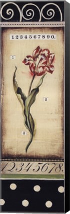 Framed Belgian Tulip I Print
