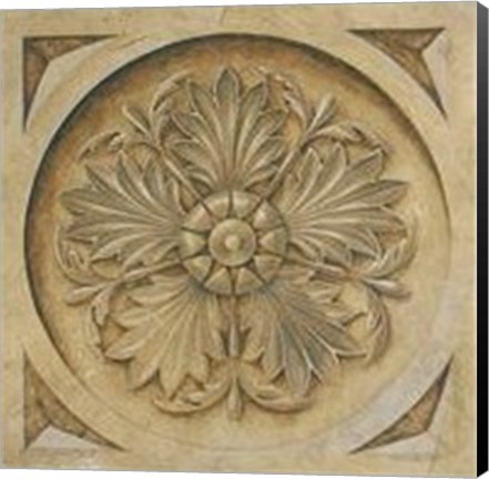 Framed Rosette II Print