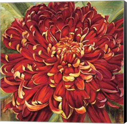 Framed Chrysanthemum Print
