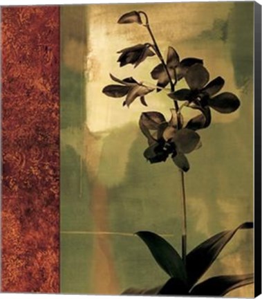 Framed Mesmerized II Print