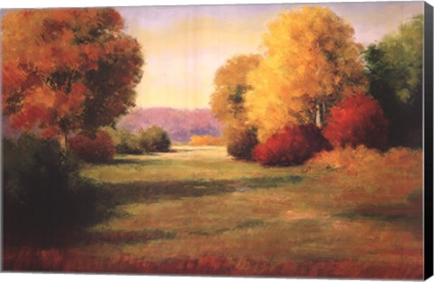Framed Morning Light I Print