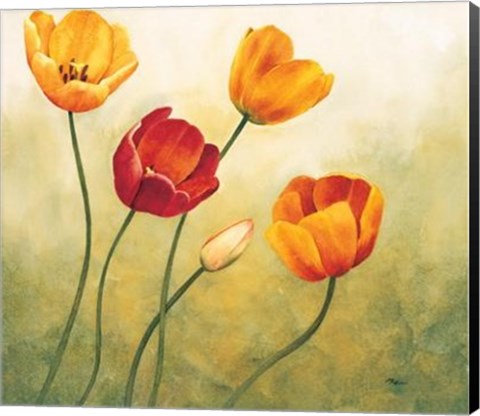 Framed Brezza Sui Tulipani Print