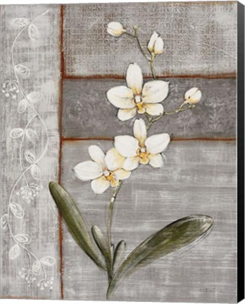 Framed Orchid Shimmer I - Mini Print
