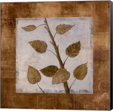 Framed Birch - Cs Print