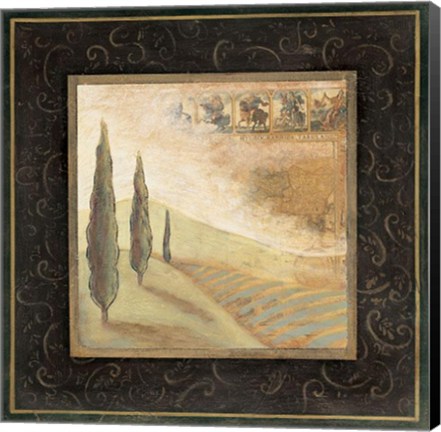 Framed Nature's Spirit I - Cs Print