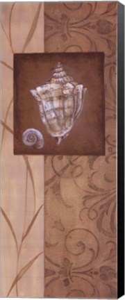 Framed Sand Shell I Print