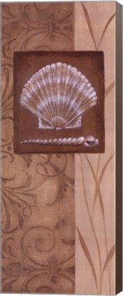 Framed Sand Shell II Print