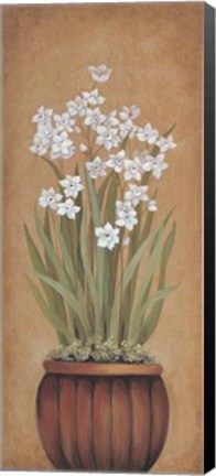 Framed Paperwhites I Print