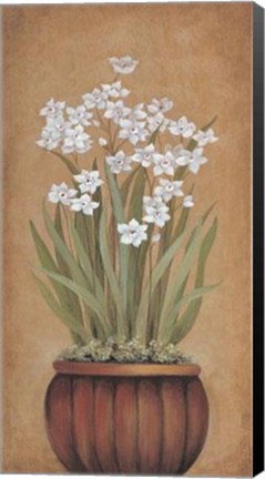 Framed Paperwhites I - Mini Print
