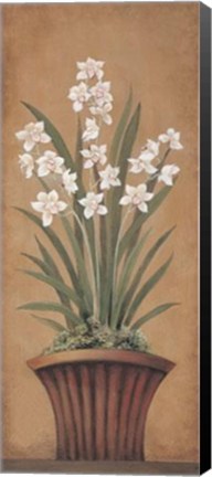 Framed Paperwhites II Print