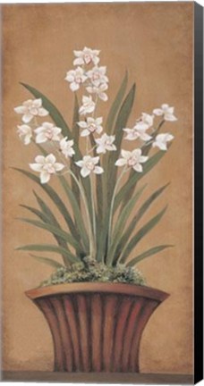 Framed Paperwhites II - Mini Print