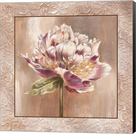 Framed Pivoines I - Cs Print