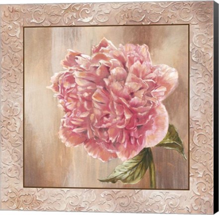 Framed Pivoines II - Cs Print