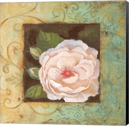 Framed Antique Rose IV Print