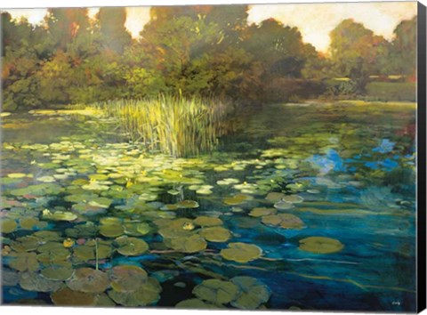 Framed Waterlilies Print