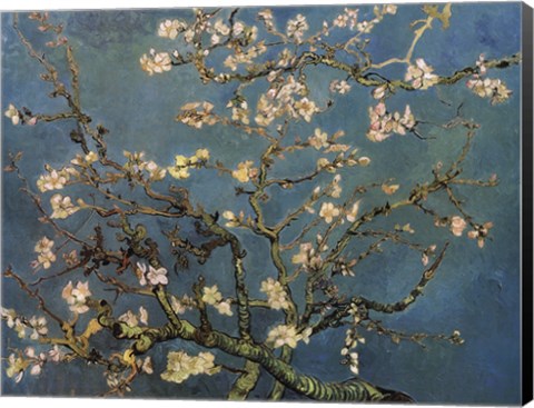 Framed Blossoming Almond Tree, Saint-Remy, c.1890 Print