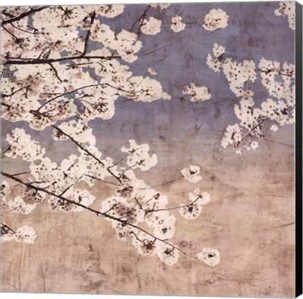 Framed Cherry Blossoms II Print