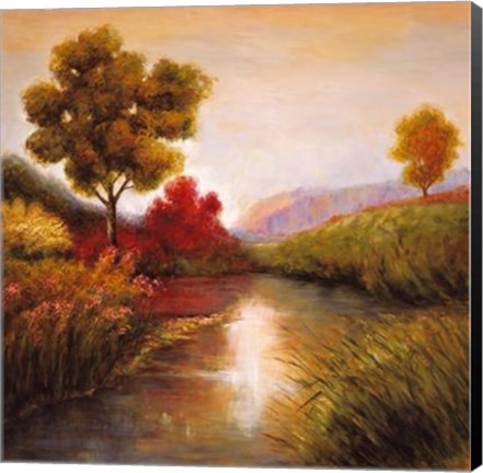 Framed Idyllic I Print