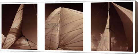 Framed Windward Sails Triptych Print