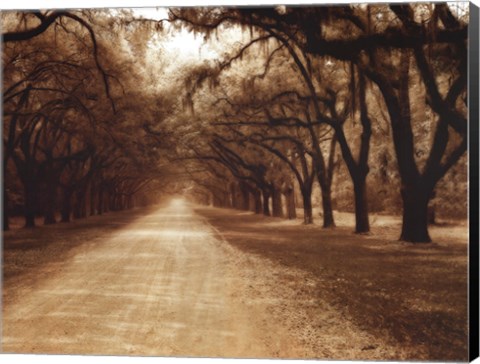 Framed Savannah Oaks II Print