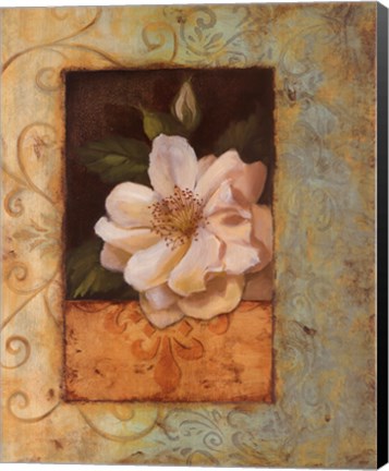 Framed Antique Rose II - Special Print