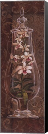 Framed Asian Apothecary I Print