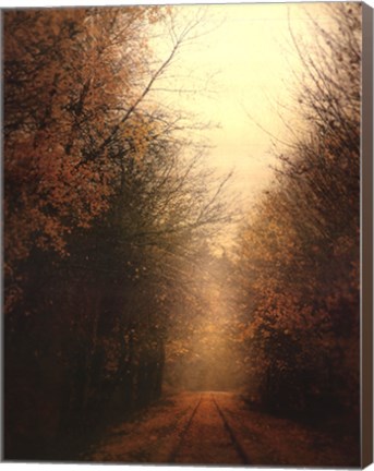 Framed Road Of Mysteries I Print