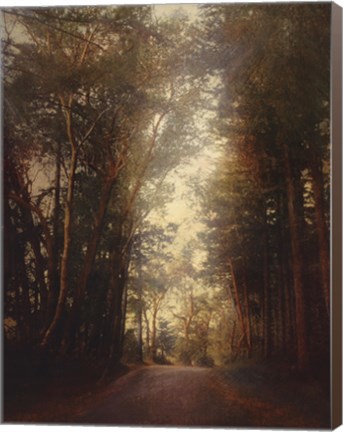 Framed Road Of Mysteries II Print