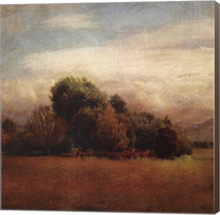 Framed Autumn Horizon I Print