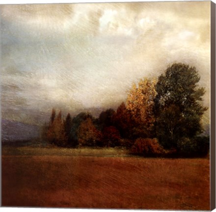Framed Autumn Horizon II Print