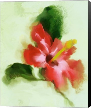 Framed Hibiscus Print