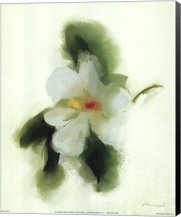 Framed Magnolia Print