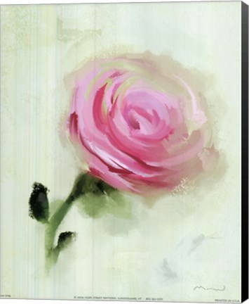Framed Pink Rose Print