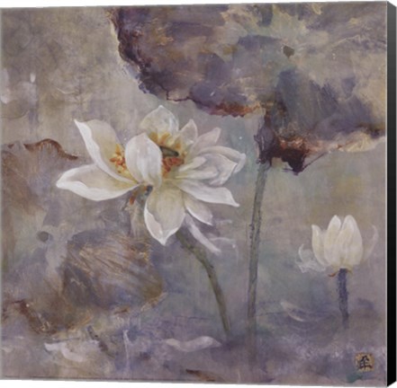 Framed Water Lily I Print