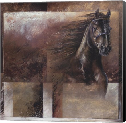Framed Stallion Print